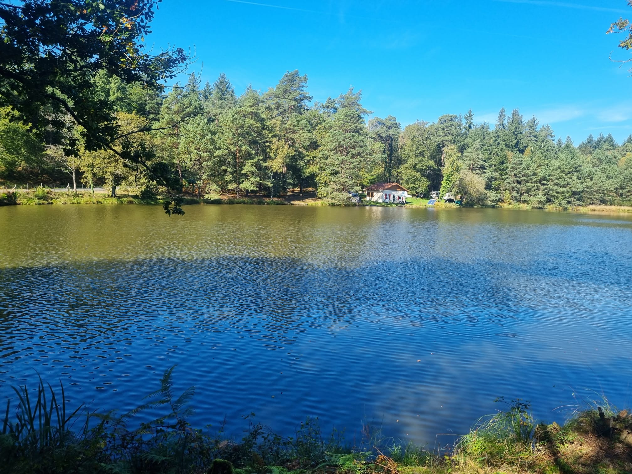 Etang de la Vilotte Carp Fishing Lake
